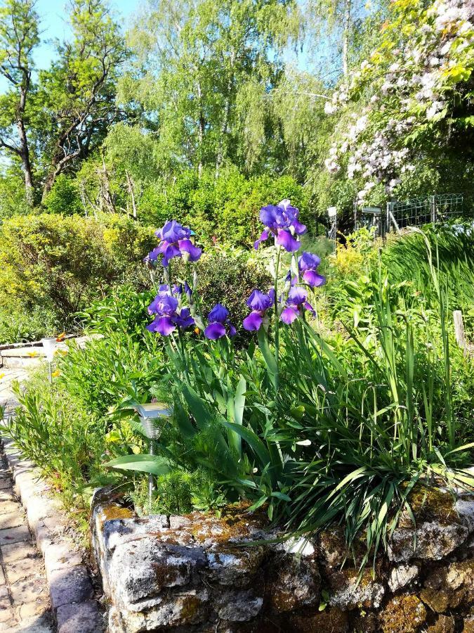 Les Jardins De Camelot Bed & Breakfast Villegouge Luaran gambar